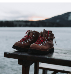 Danner Light II 6" Brown front 1100