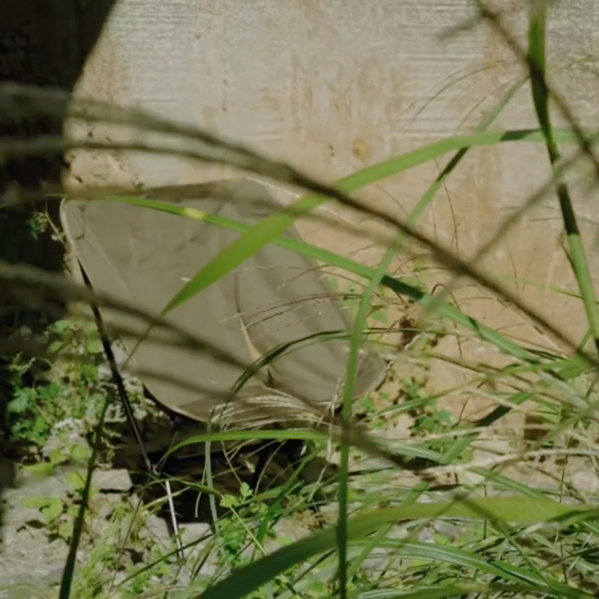 Helinox Tactical Chair One Military Olive, used by the Helinox community Helinox Tactical Chair One Military Olive, used by the Helinox community