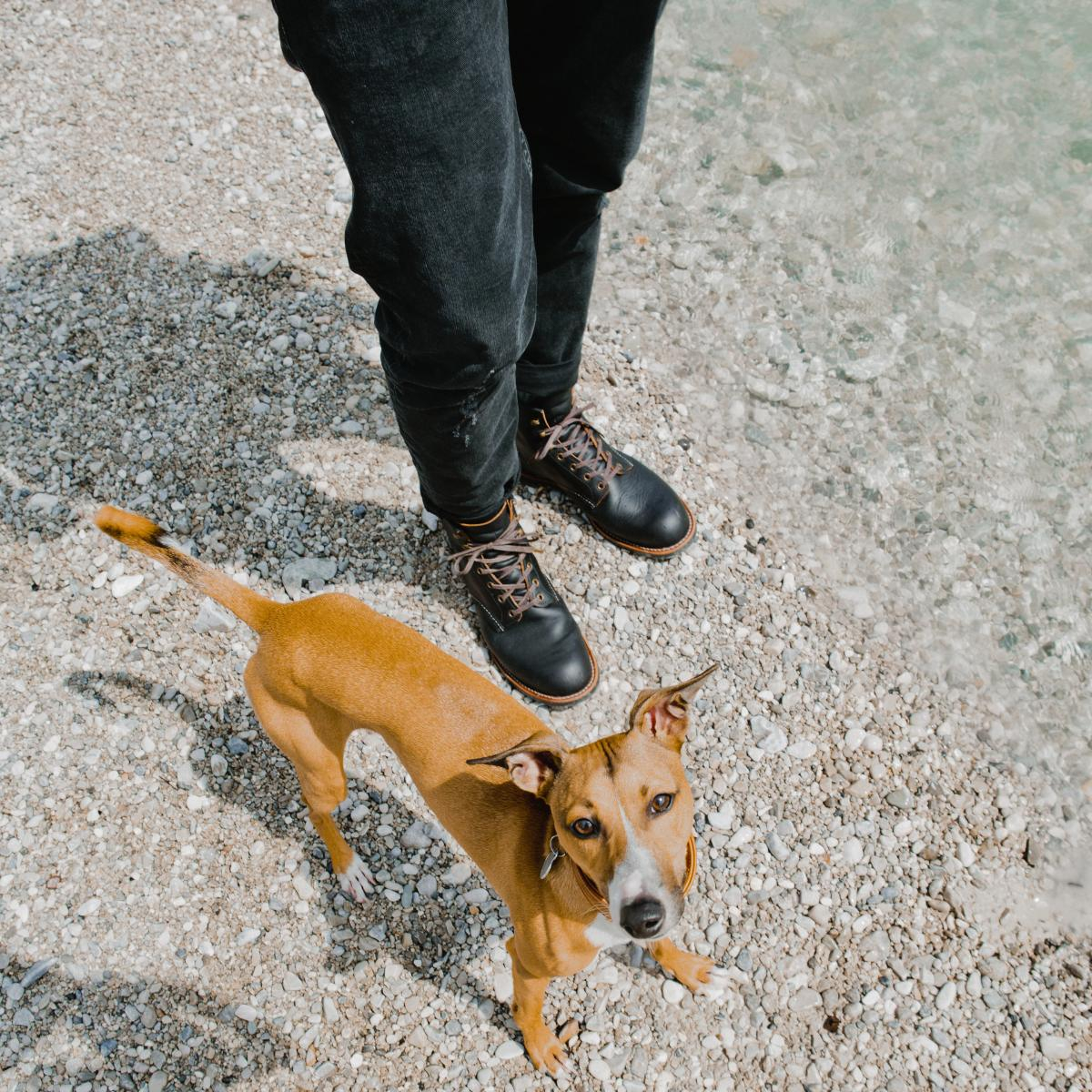 BeauBags is een geautoriseerde Red Wing dealer en uw Red Wing specialist.